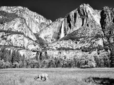 Yosemite valley bw