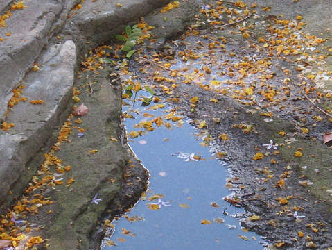 Mouth of the lake 1
