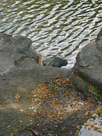 Mouth of the lake 2
