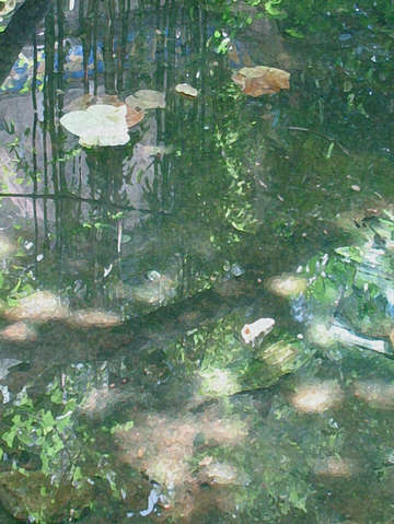 Ode to monet