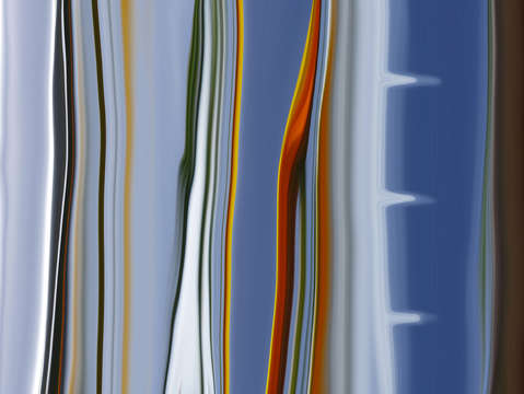 Stripes 00304