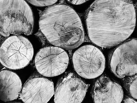 Stacked logs