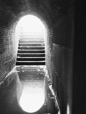 The tunnel