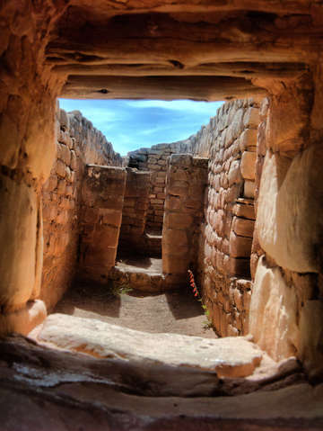 Life among the ruins
