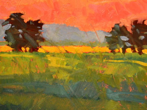 Green fields