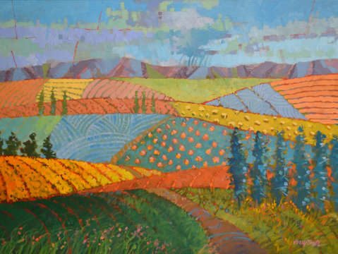 Tuscany fields