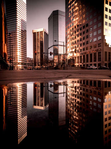 Puddlescape 3