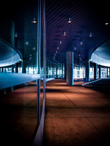Follow the lights