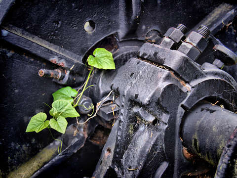 Nature wins