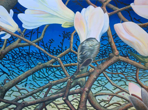 Twilight magnolias