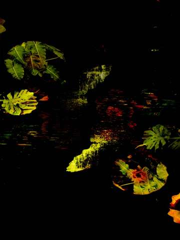 Meditative city 29