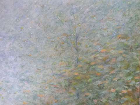 Rainy maples 2