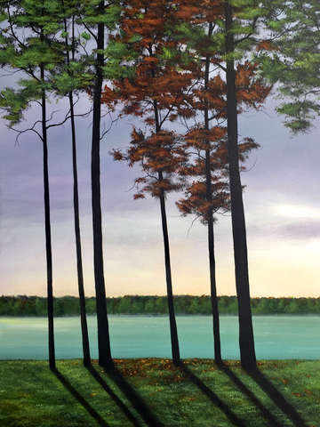 Lakeside view