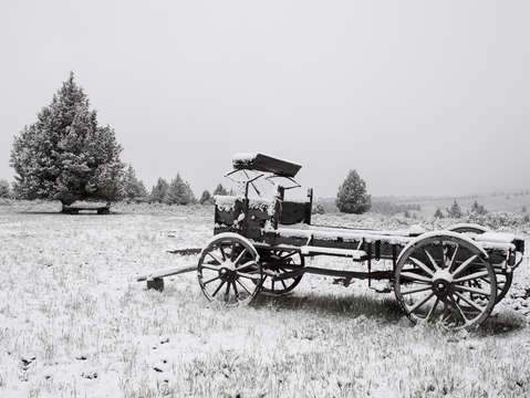 Buggy in snow