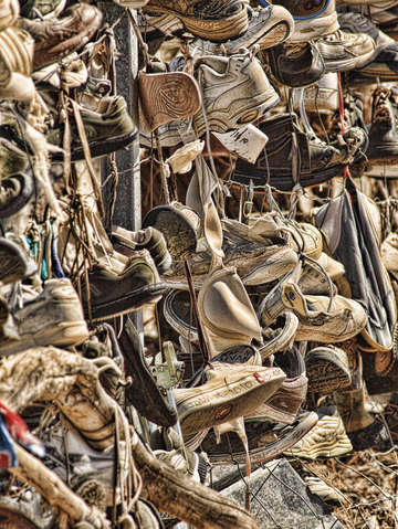 Tree of shoes
