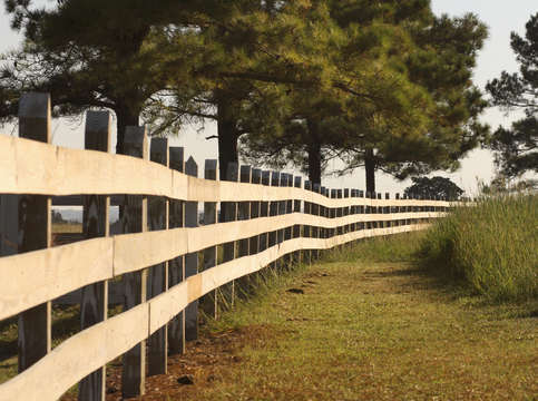 Texas fence