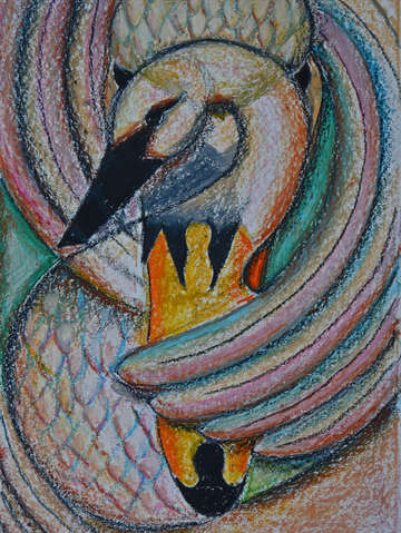Swan 1