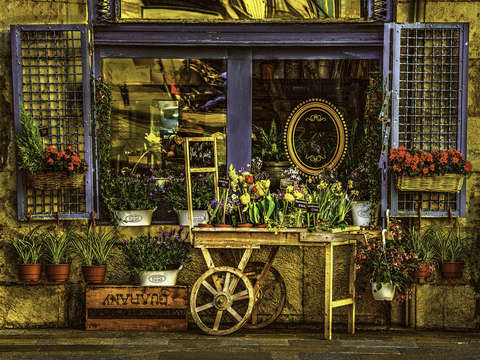The flower shoppe