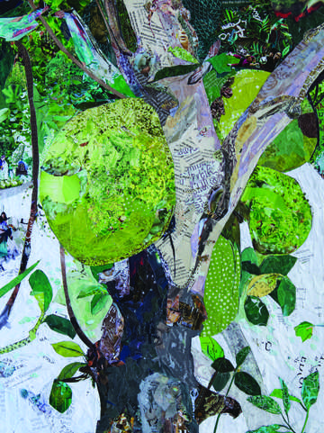 Sanya tree
