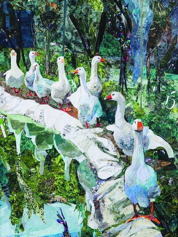 Mauros geese