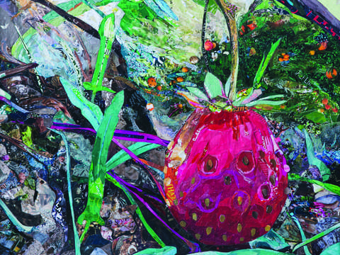 Strawberry patch