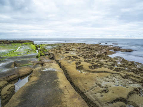Low tide 5