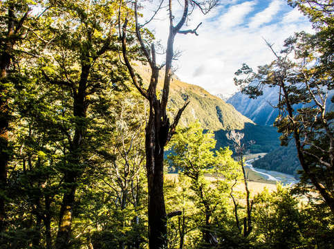 New zealand routeburn track