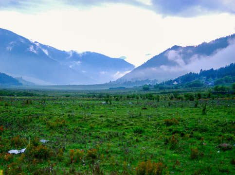 Bhutan field