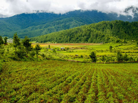 Bhutan agriculture
