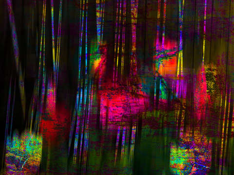 Tulips transformed iv