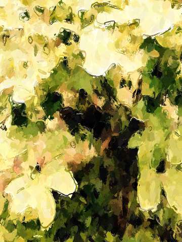 Outburst