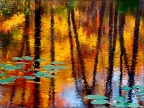 Autumn Reflections II