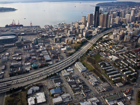City snake