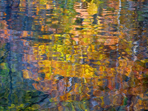 Laurel creek