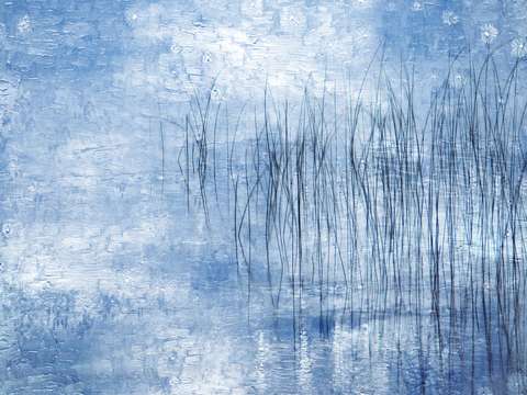 Reeds5