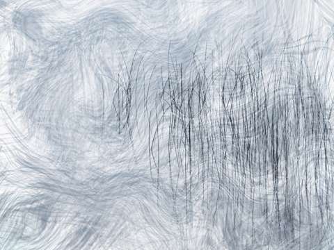 Reeds13