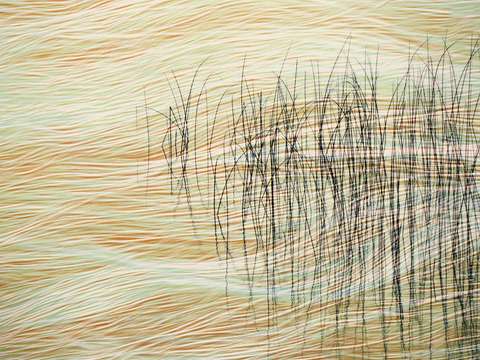 Reeds16