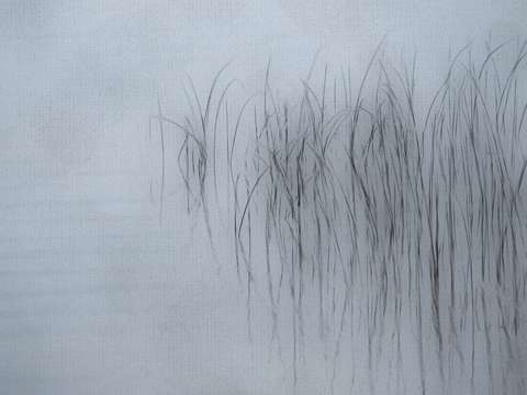 Reeds19