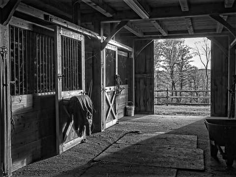 Horse barn black and white