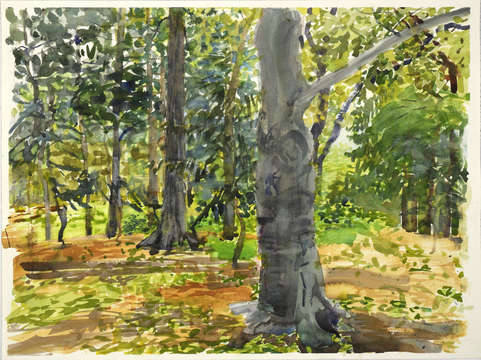 Greenwood gardens