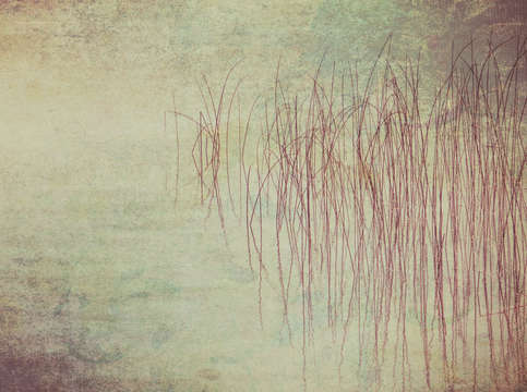 Reeds23