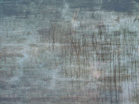 Reeds25