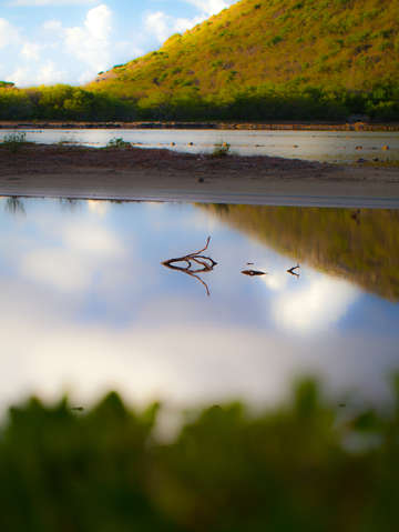 Waking reflections