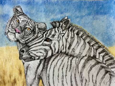 Striped friends 2