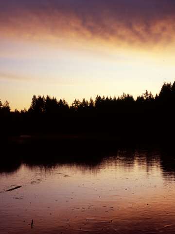 Fisher pond sunrise
