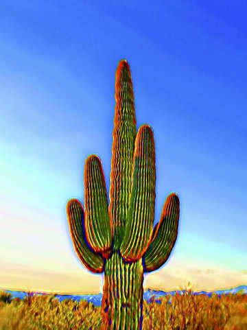 Pop impressionist saguaro 1