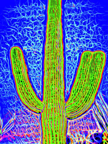 Pop impressionist saguaro 12