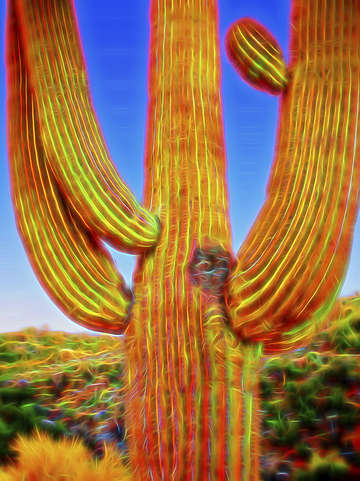 Pop impressionist saguaro 27