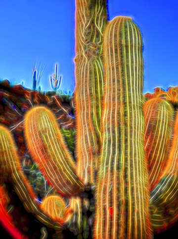 Pop impressionist saguaro 37