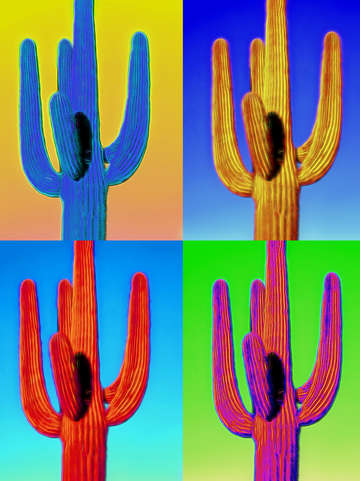 Pop impressionist saguaro composite